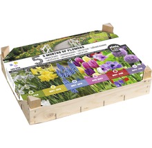 Blumenzwiebel Holzkiste 5 Monate Frühling 120 Stk.