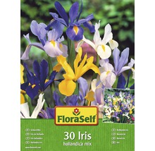 FloraSelf 30 Iris hollandica Mix Packung