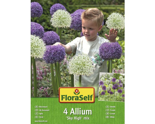 Packung Riesenlauch ''Sky High'' Mischung von FloraSelf mit vier Zwiebeln