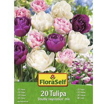 FloraSelf Tulpenmischung Double Inspiration, 20 Stück