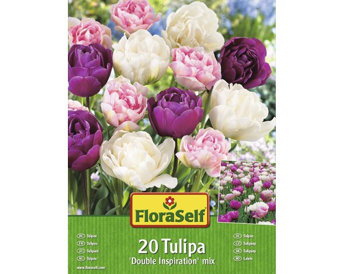 FloraSelf Tulpenmischung Double Inspiration, 20 Stück