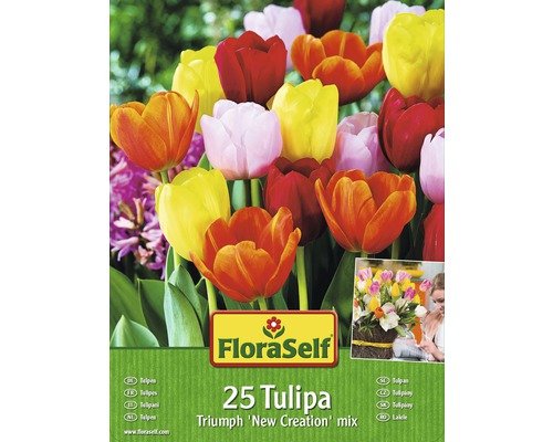 FloraSelf Tulpen Triumph New Creation Mix, Packung mit 25 Stück