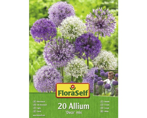 Verpackung von 20 Zierlauch Blumenzwiebeln der Sorte ''Deco'' Mix von FloraSelf