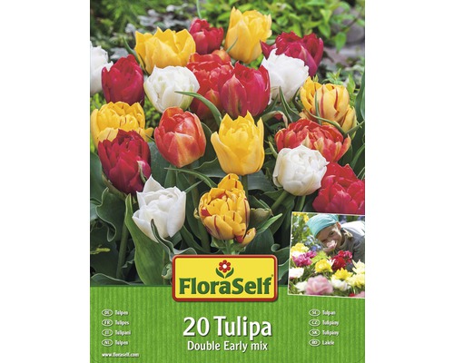 FloraSelf Tulpen Double Early Mix, Packung mit 20 Stück