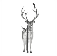 Leinwandbild Deer With Birds 27x27 cm