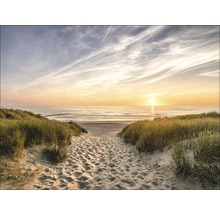 Sonnenuntergang am Strand mit Dünen und Sandweg