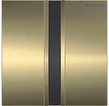 Geberit Betätigungsplatte für die Toilettenspülung