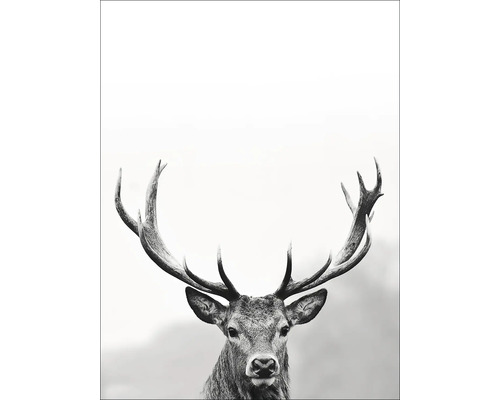 Decopanel Grey Deer Head llI 30x40 cm