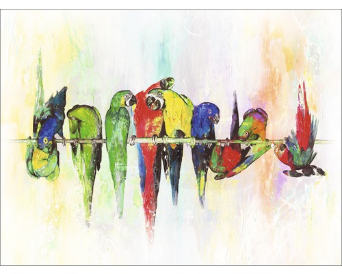 Leinwandbild Colourful Parrots 57x77 cm-0