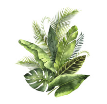 Illustration mit verschiedenen tropischen Blättern