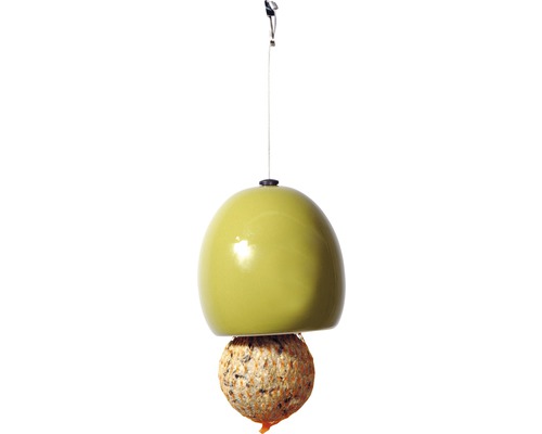 Vogelhaus mit Meisenknödel als Vogelfutter