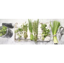 Arrangement mit verschiedenen Kräutern, Mörser und Schere auf einem Holzbrett