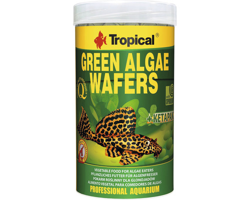 Tabletten Tropical Green Algae Wafers 250 ml Pflanzenfutter für Algenfresser