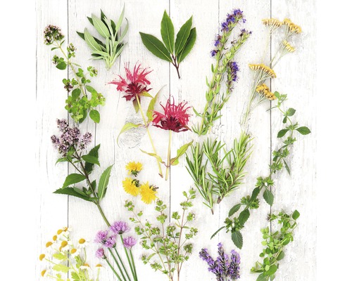 Glasbild Herbs & Flowers 30x30 cm GLA2120