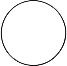 Schwarzer Dichtungsring