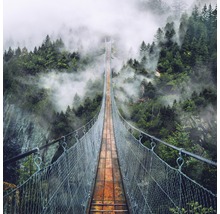 Eine lange Hängebrücke erstreckt sich über einen Wald im Nebel.