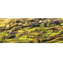 Hügelige Landschaft mit Häusern und Bäumen