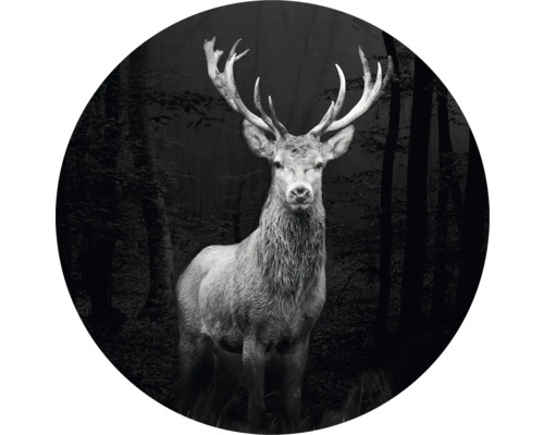 Glasbild rund Grey Deer Head Ø 30 cm GLR025