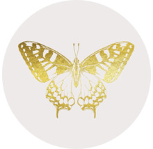 Illustration eines Schmetterlings
