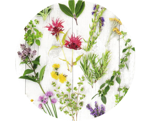 Glasbild rund Herbs & Flowers Ø 50 cm GLR043