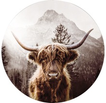 Dekoratives rundes Bild eines Hochlandrindes vor Bergkulisse