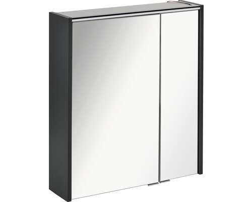 Spiegelschrank FACKELMANN Denver 60 x 16 x 68,5 cm anthrazit 2-türig LED IP 20