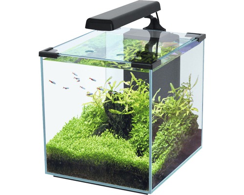 Aquarium aquatlantis Nano Cubic 30 mit Frostglasrückseite