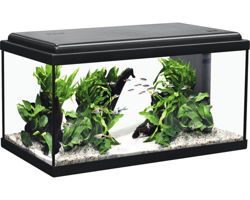 Aquarium 54 Liter LED von Tetra in 56244 Leuterod für 45,00 € zum Verkauf
