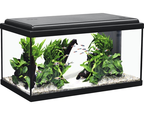 Aquarium LED Beleuchtung, Clip On Aquarium Beleuchtung 3 Farben Aquarium  LED Beleuchtung Aquarium Licht 220V 6W für Wasserpflanzen und Fische  (Schwarz): : Haustier