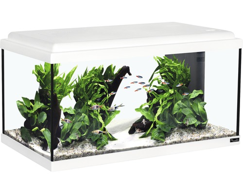 Aquarium aquatlantis Nano Cubic 30 mit Frostglasrückseite, LED-Beleuchtung,  Filter, Heizer, Pumpe weiß (ohne Schrank) - HORNBACH Luxemburg