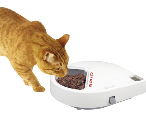 Katze frisst aus einem automatischen Futterautomaten