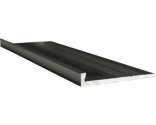 Profilleiste Abschluss Slate-Lite F-Line stahl 2,5 m-0