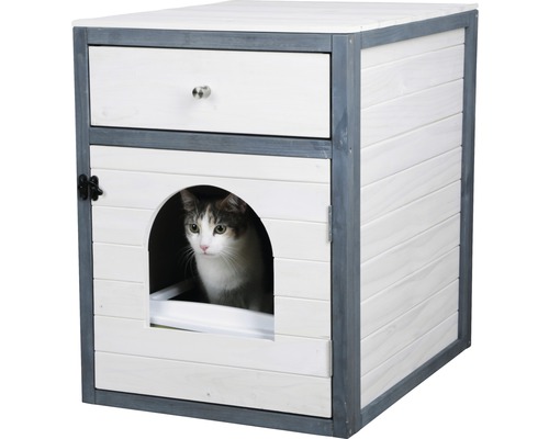 Katze in Katzentoilette mit Schublade