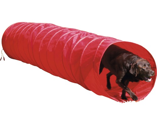 Roter Hunde-Agility-Tunnel mit einem braunen Hund, der hindurchläuft