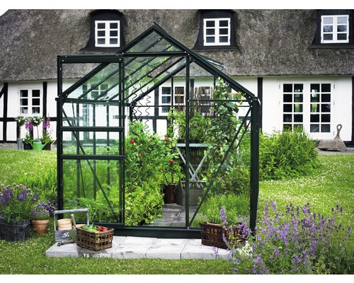 Gewächshaus Halls Popular 86 5,0 m² Blankglas 3 mm 193x257 cm grün Gewächshaus mit Pflanzen vor einem Haus mit Strohdach