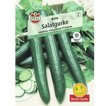 Salatgurke 'Bella' Sperli Gemüsesamen