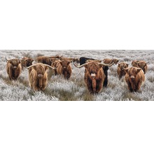 Leinwandbild Büffel Herde 150x50 cm-thumb-0