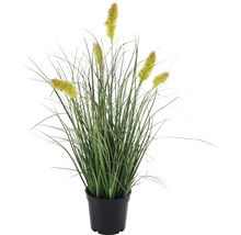Kunstpflanze Lafiora C cm | 45 HORNBACH Topf Gras
