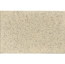 Terrassenplatte Arena gelb 60 cm x 40 cm x 3,9 cm