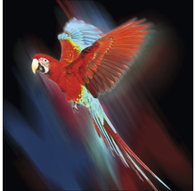 Fliegender roter Ara Papagei