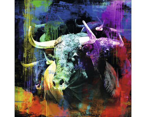 Glasbild Colorful Bull Head 50x50 cm