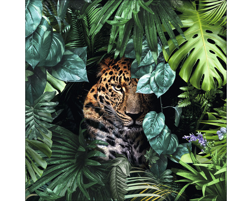 Glasbild Jaguar in the jungle 30x30 cm