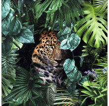 Glasbild Jaguar in the jungle 20x20 cm