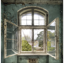 Geöffnetes Fenster in einem heruntergekommenen Raum mit Blick auf Bäume.