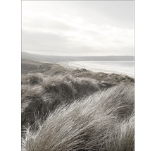 Foto von Grasdünen nahe dem Meer