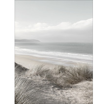 Illustration eines Strandes mit Dünenlandschaft