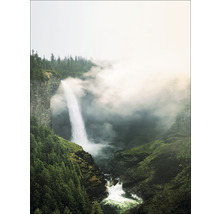 Ansicht eines Wasserfalls umgeben von Bäumen und Felsen
