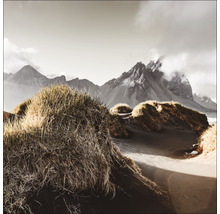 Landschaft mit Grasdünen und Bergen