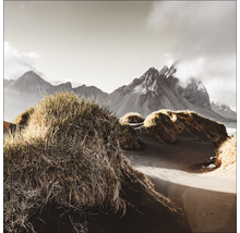 Dünenlandschaft mit Gras und Bergen