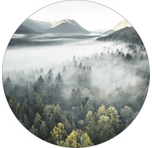 Waldlandschaft im Nebel mit Bergen im Hintergrund